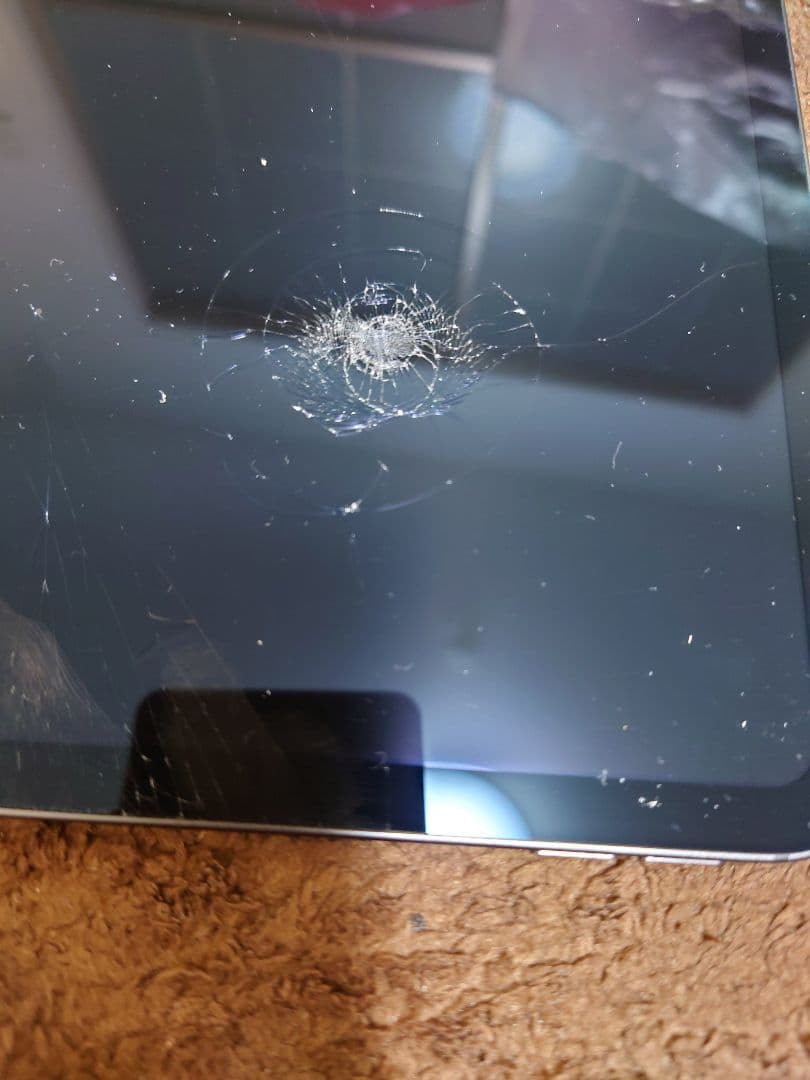 iPad Pro 11インチ (M4) A2836 ジャンク品