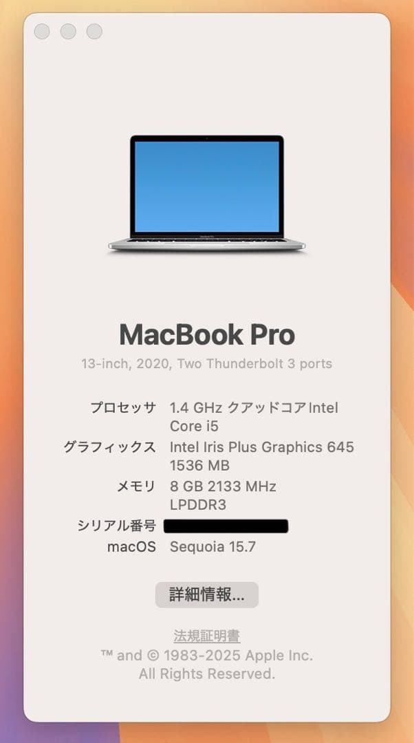 【即日発送】Macbook PRO 2020 シルバー