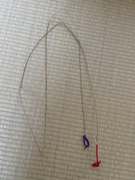 弓道の弓