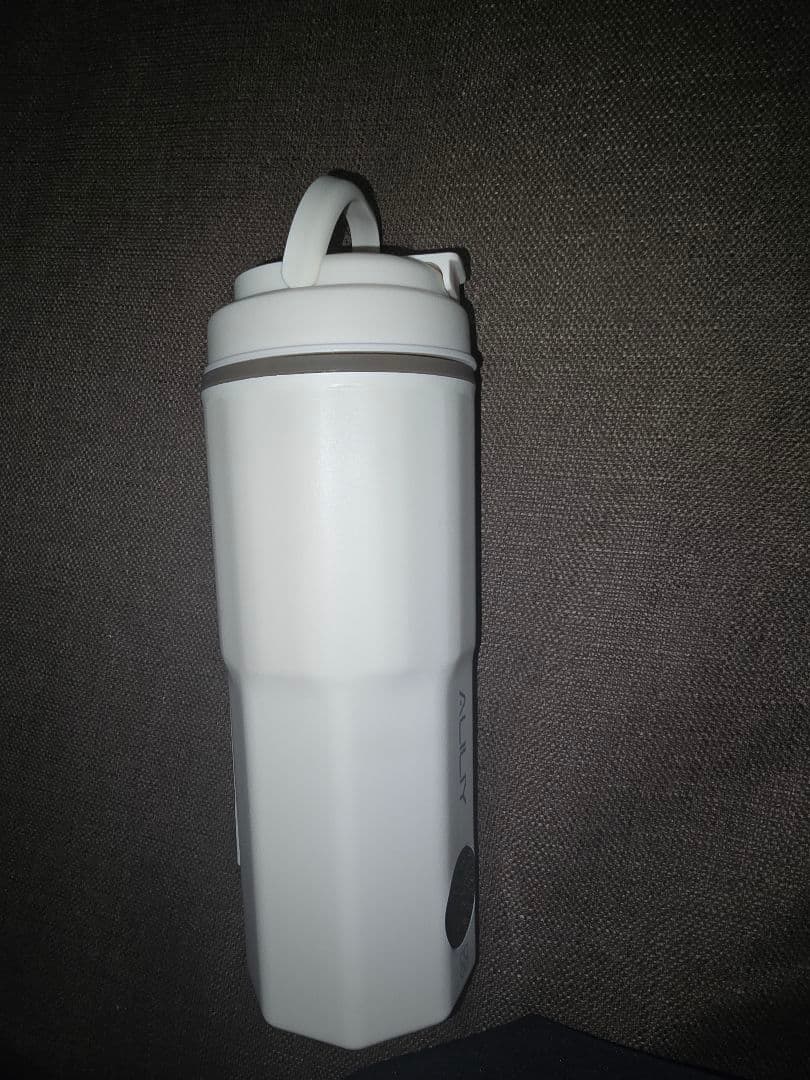 Aliliy 電気ケトル 海外対応可能トラベルケトル 小型 携帯400ml