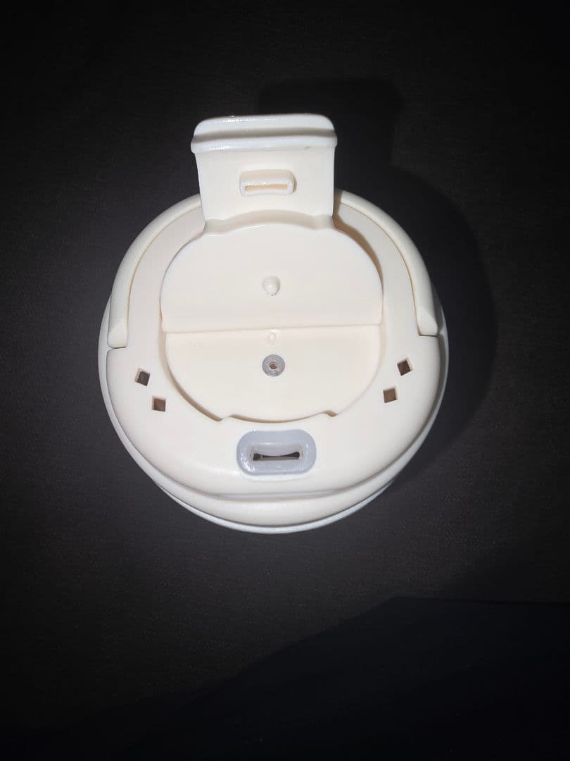 Aliliy 電気ケトル 海外対応可能トラベルケトル 小型 携帯400ml