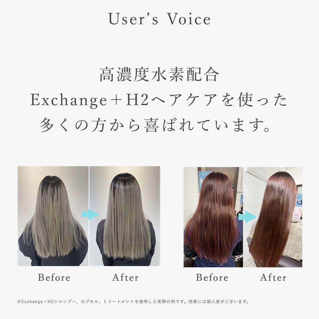 12/25まで！ストリエクスチェンジH2 シャンプートリートメント2点セット