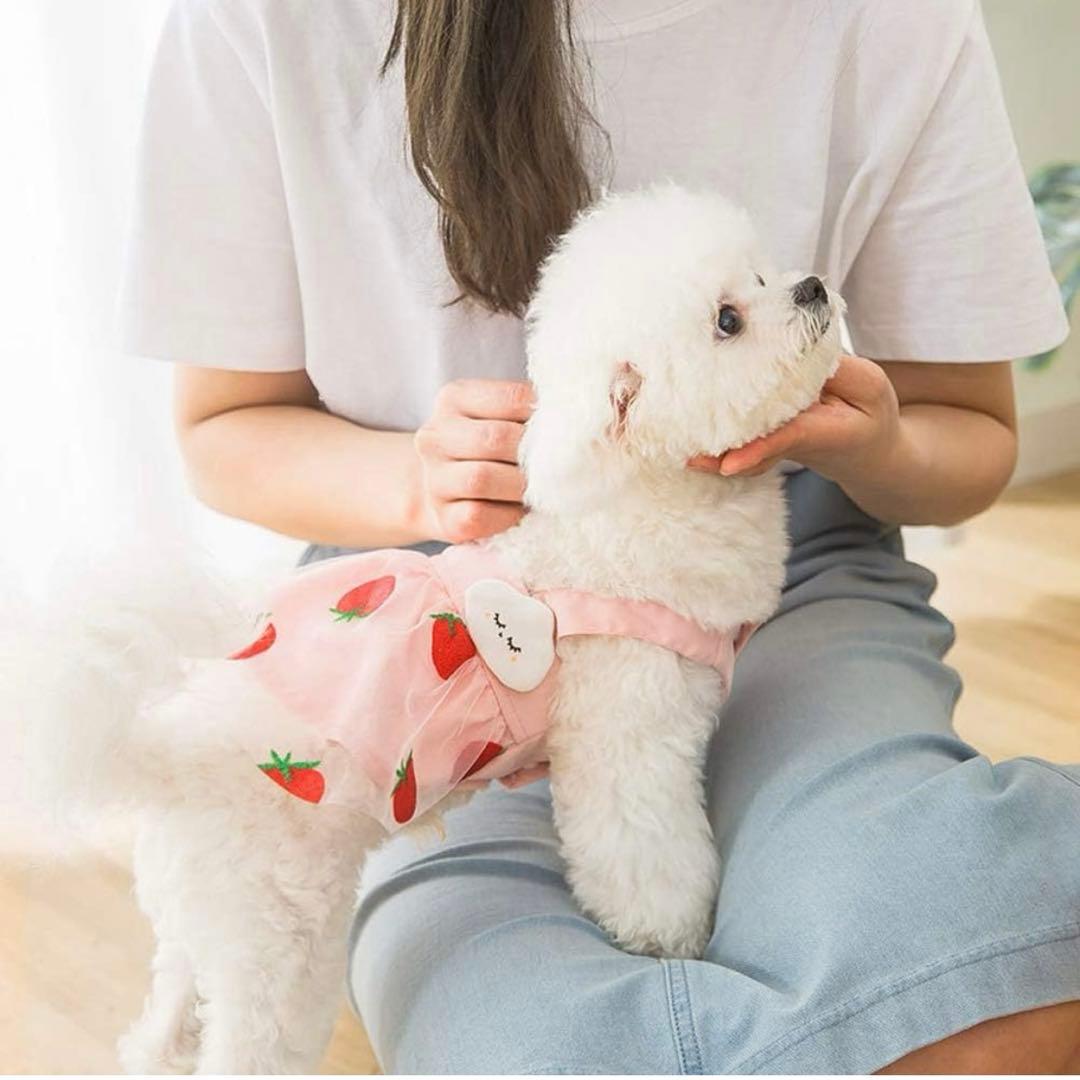 犬服 ワンピース 春夏秋 ドッグウェア 可愛い 雲飾り イチゴ ピンク