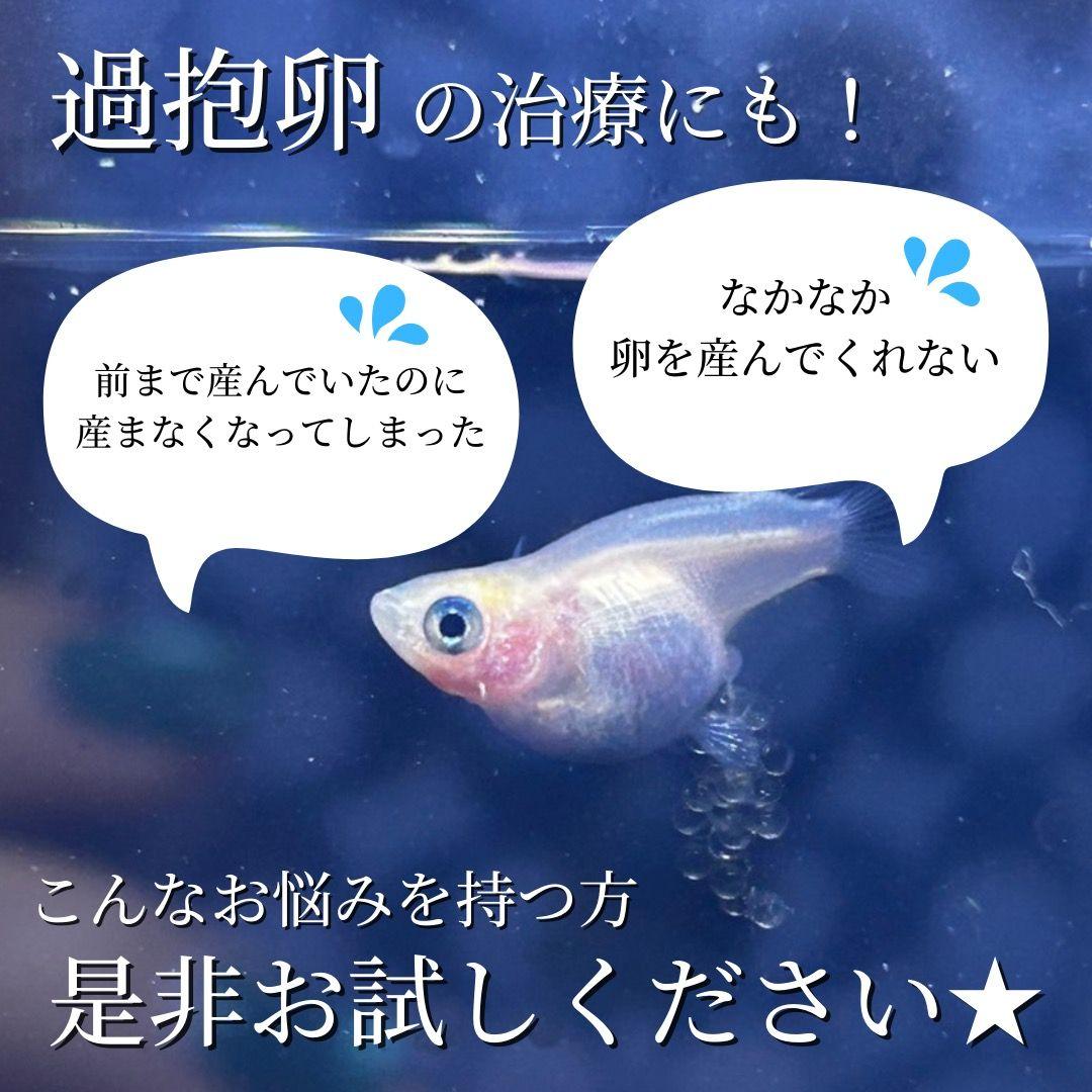 超繁殖促進オアシル【オアシスメダカ】3本セット