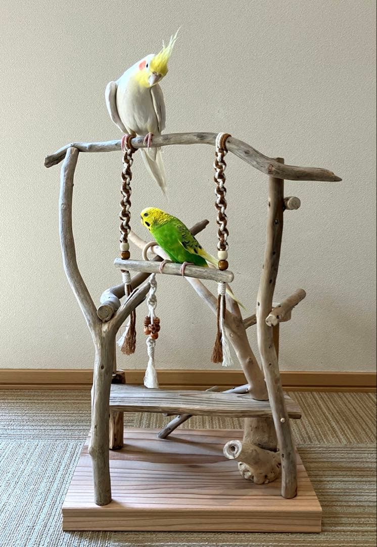 バードアスレチック　バードジム　流木　インテリア　インコ　おもちゃ