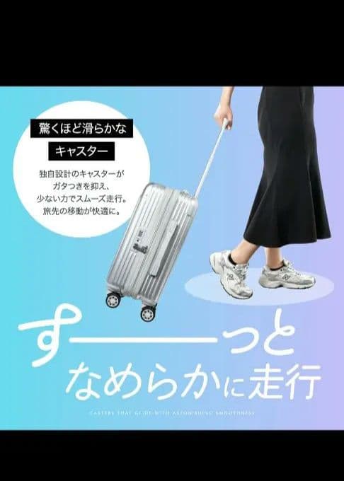 EXCITECH シルバー キャリーケース Lサイズ