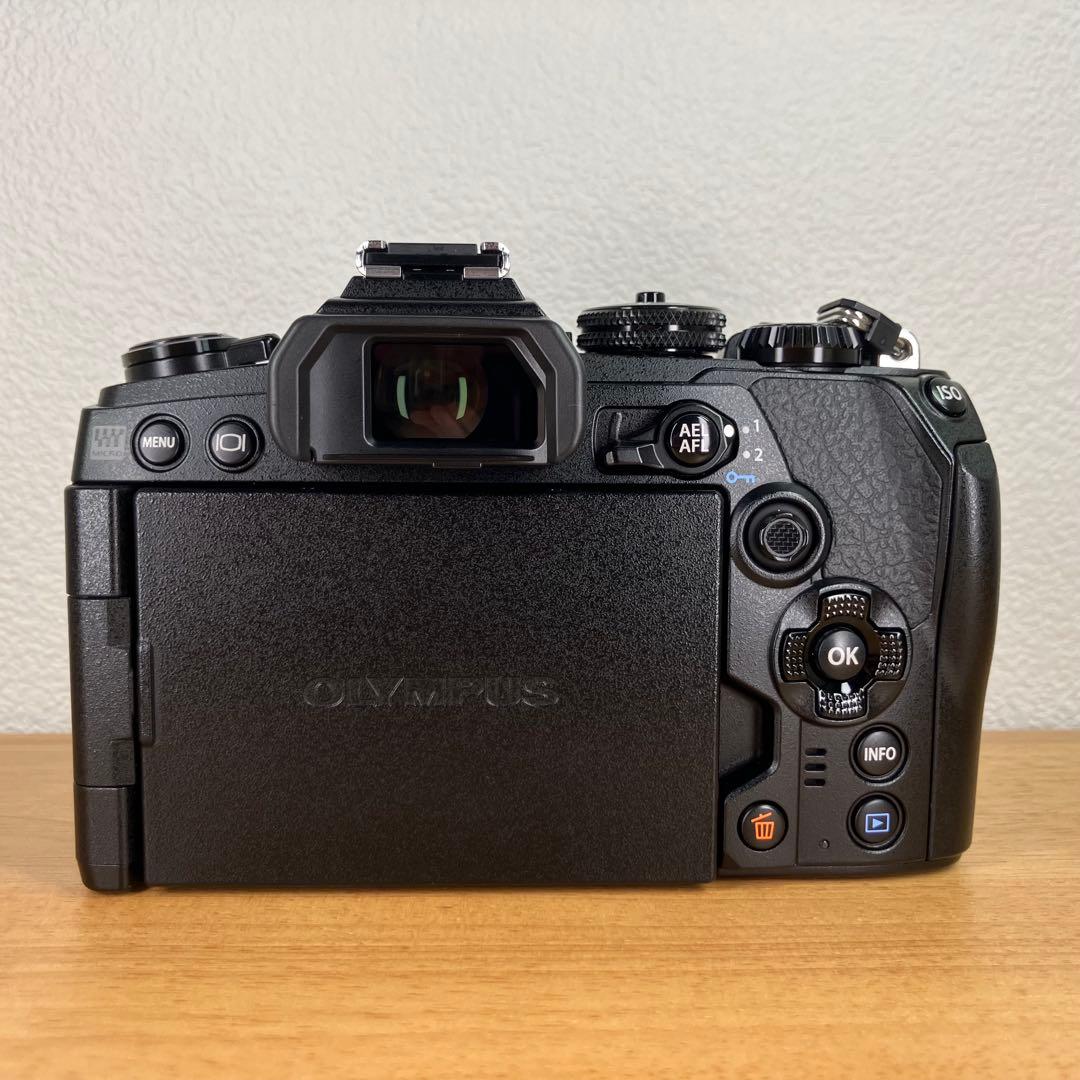 【ショット数5052回】OLYMPUS OM-D E-M1 Mark III 黒