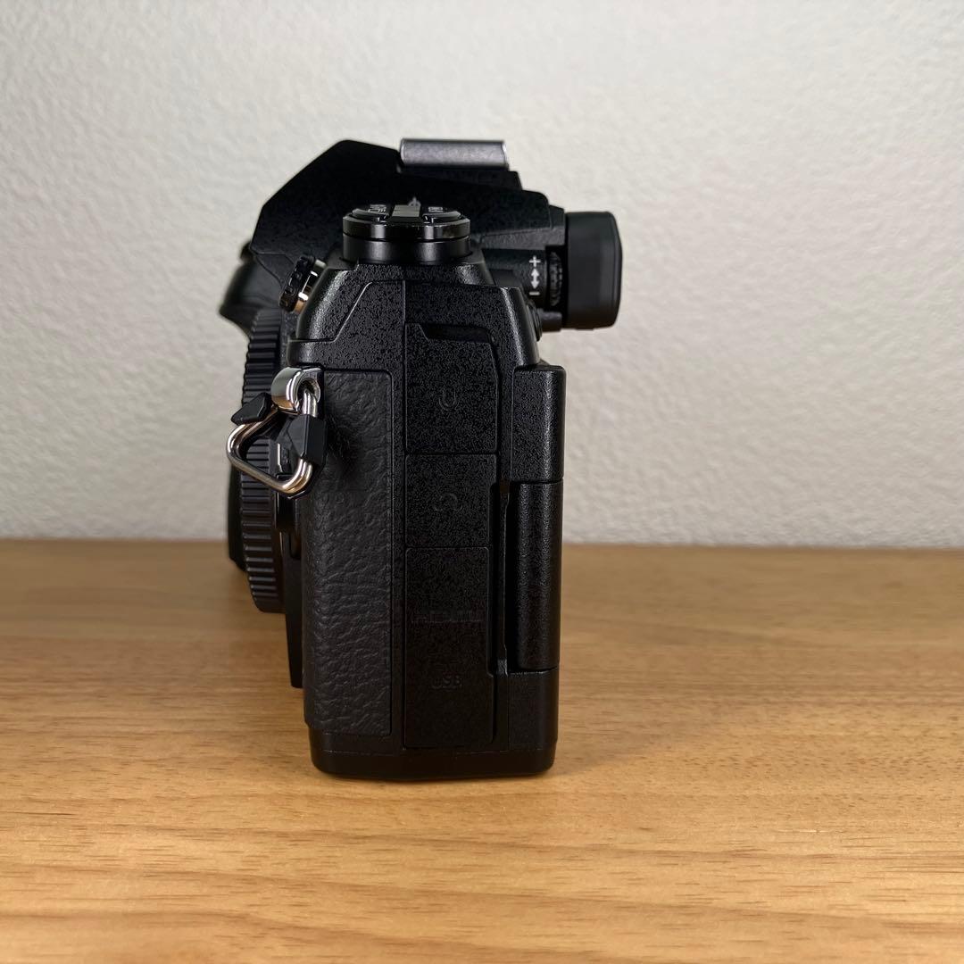 【ショット数5052回】OLYMPUS OM-D E-M1 Mark III 黒