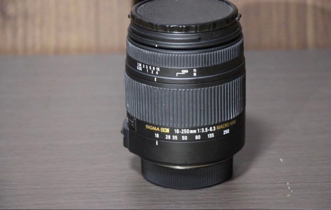 美品】SIGMA 18-250mm F3.5-6.3DC MACRO HSM