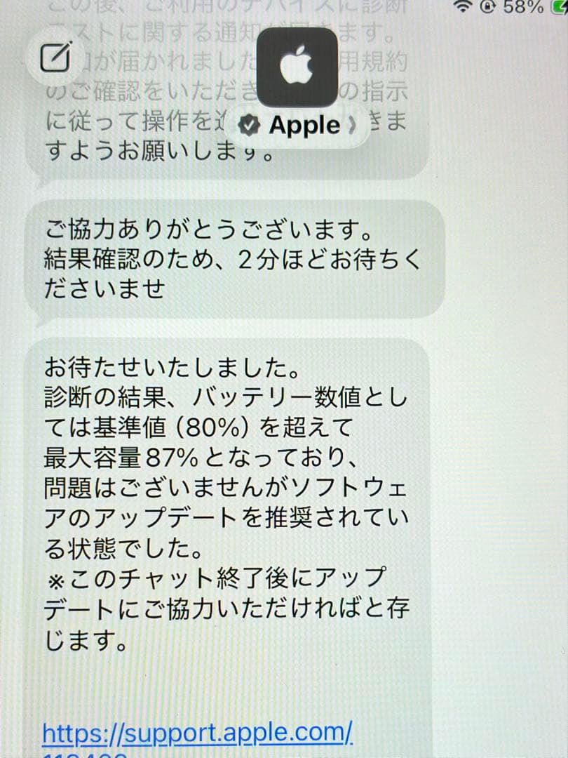ipad mini cellular 5世代 256GB ゴールド
