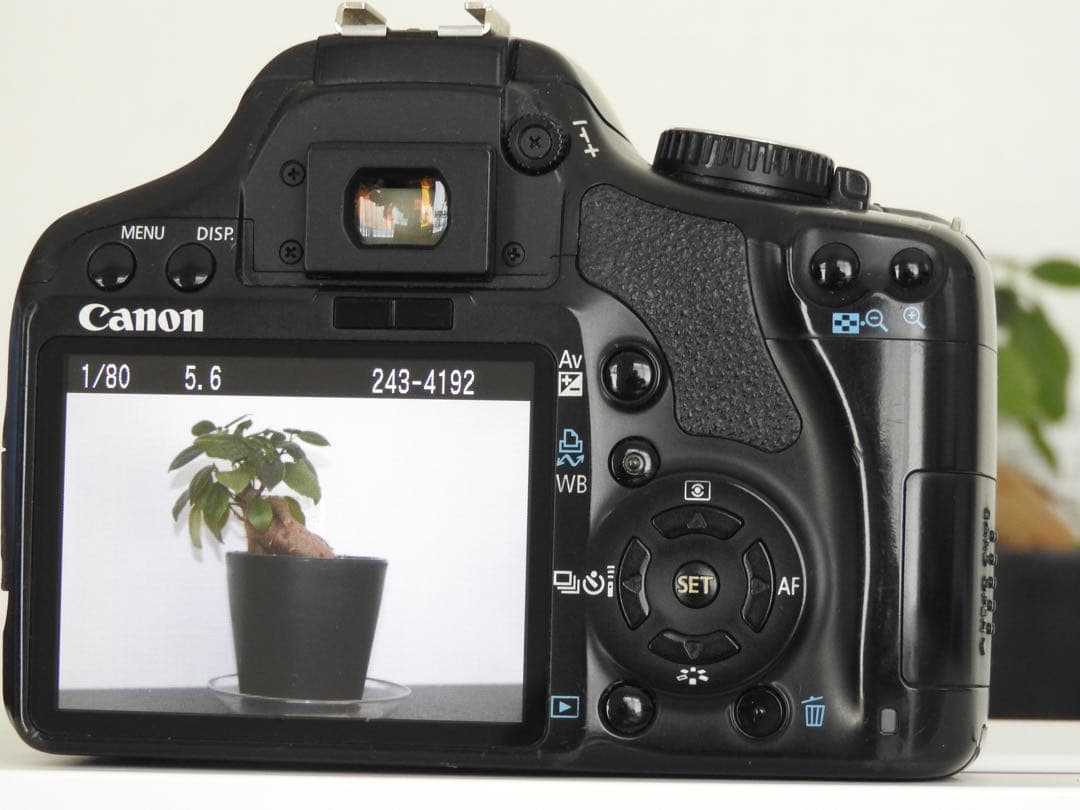 Canon EOS X2 デジタル一眼レフカメラEF-S 18-55mmレンズ付