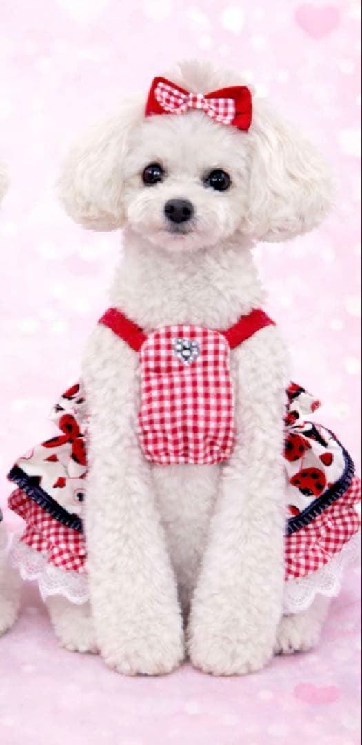 Fluffytailフラッフィテイルのワンピース　Mサイズ