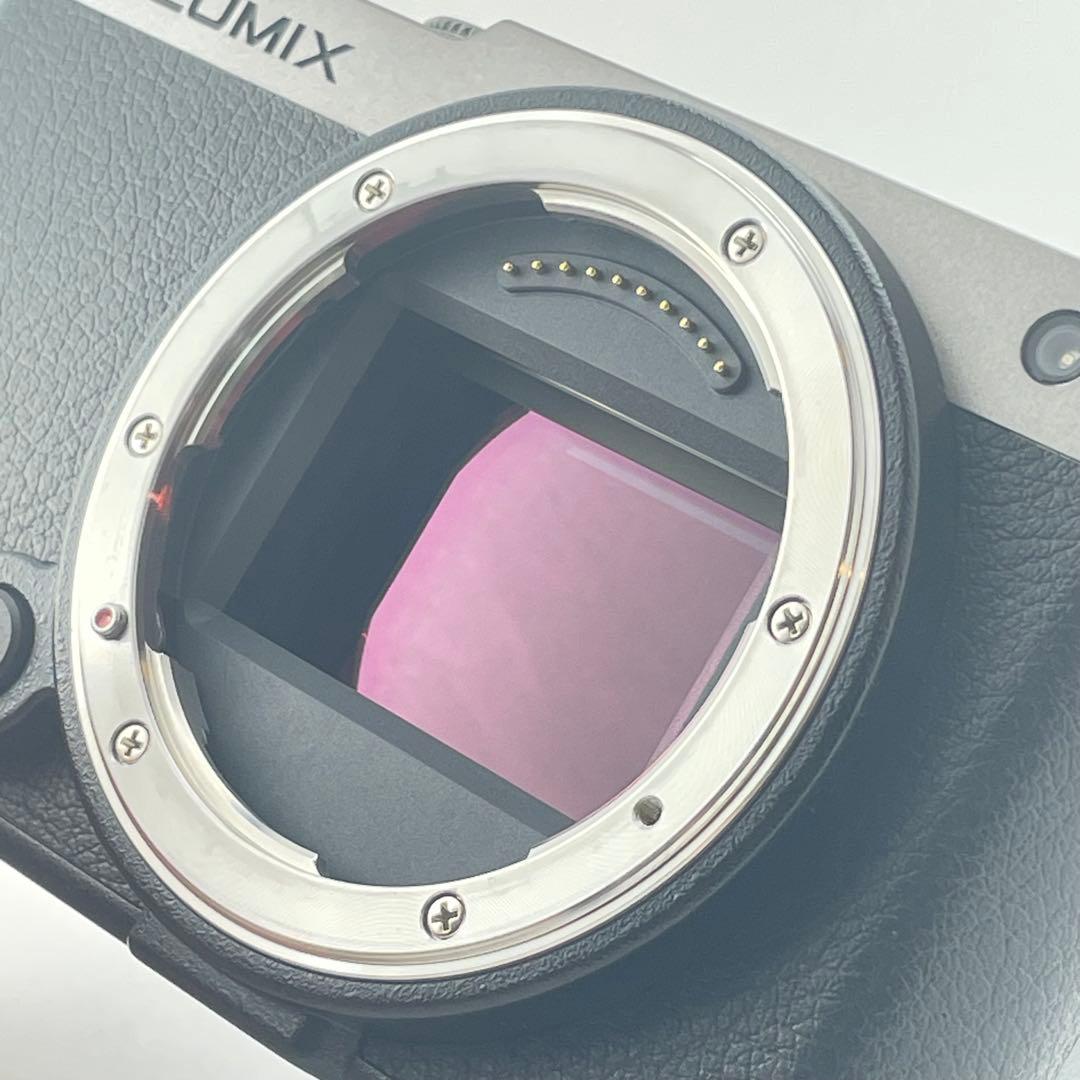 【極上美品・整備点検済み】Panasonic Lumix S9 シルバー ボディ