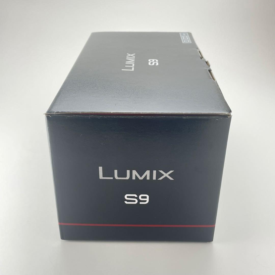 【極上美品・整備点検済み】Panasonic Lumix S9 シルバー ボディ