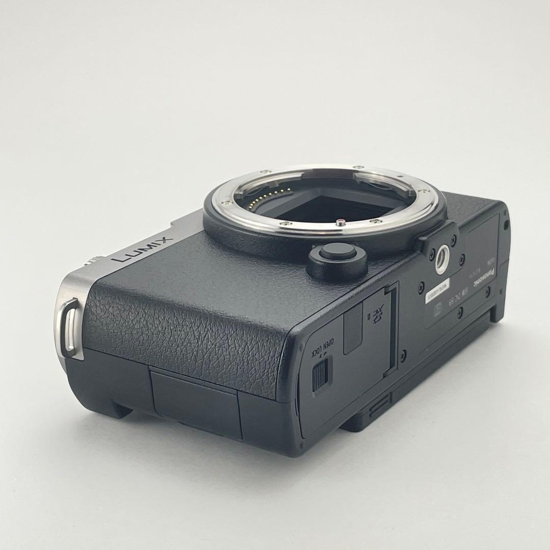 【極上美品・整備点検済み】Panasonic Lumix S9 シルバー ボディ