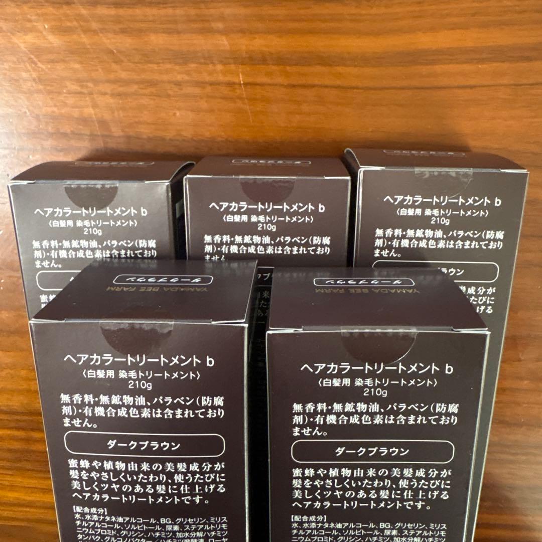 RJ Hair Color Treatment ダークブラウン 5個セット