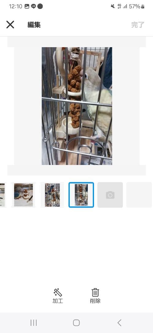 a22　粟の穂ホルダー　バードトイ　インコ　止まり木