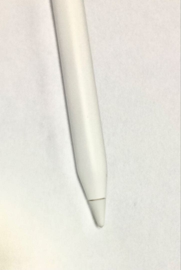 apple pencil（USB-C） 本体のみ 箱なし 動作確認済み