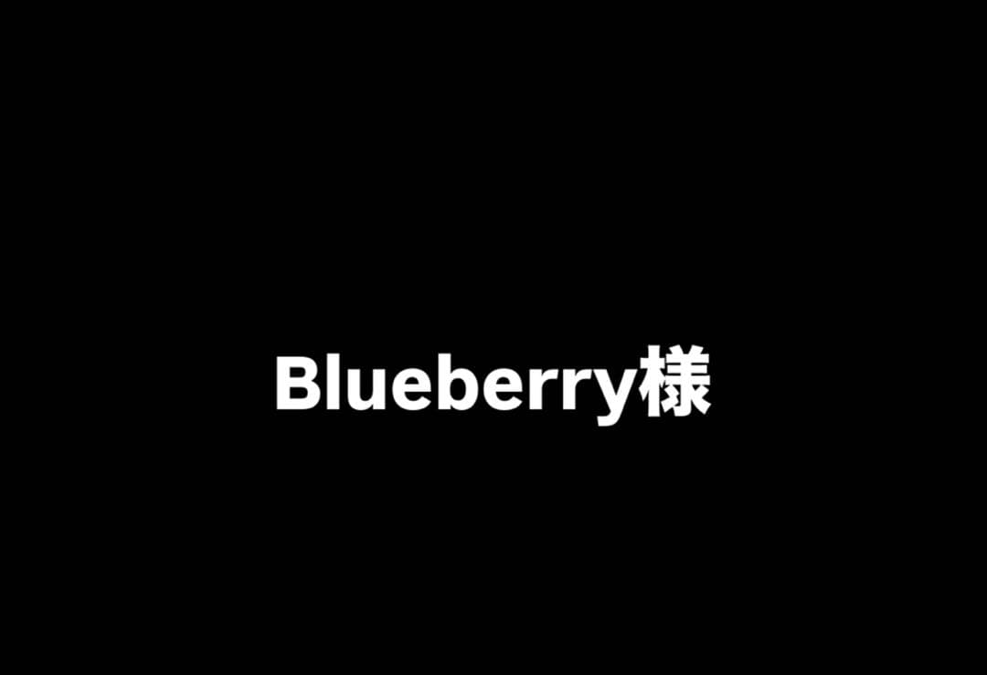 Blueberry様　1本　クリーム　10包