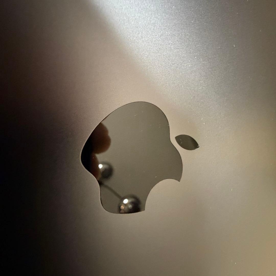 【極美品/おまけ付】 M1 iPad Pro 11インチ 第3世代 Wi-Fi