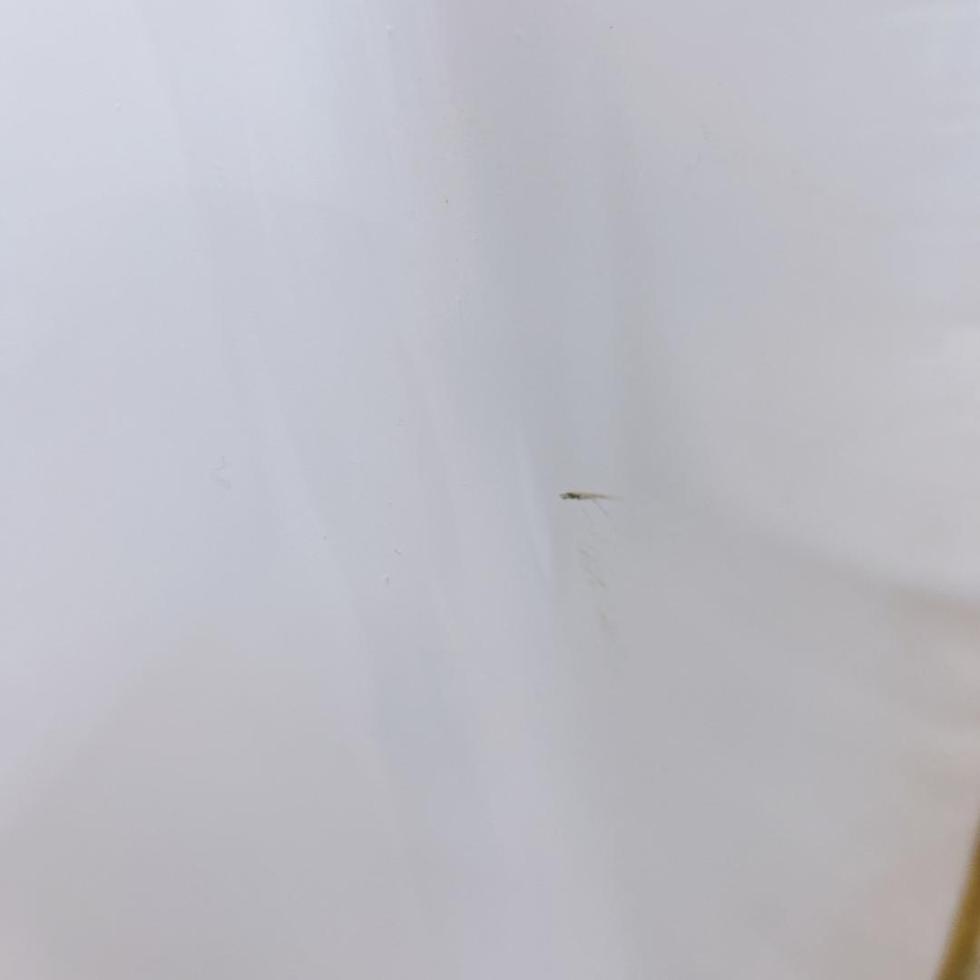 MKT02131 シャープ 8.0kg 洗濯機 一人暮らし 小型