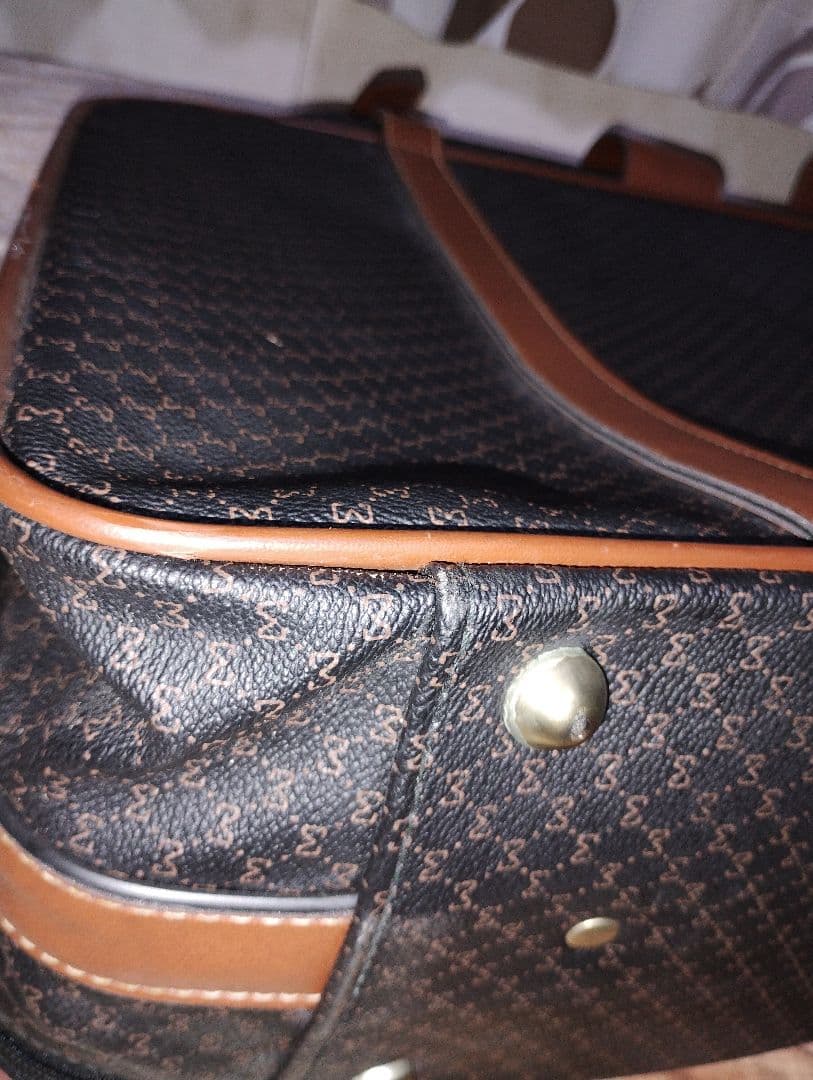 私の旅行バッグValigeria Pelletteria Richini bag