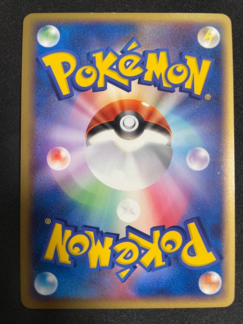 ポケモンカードゲーム ポケパーク プレミアムファイル ブルーシート
