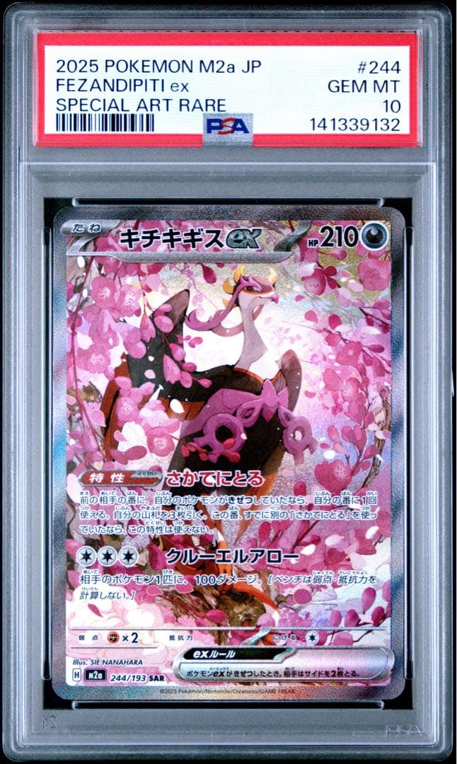 PSA10 キチキギス sar