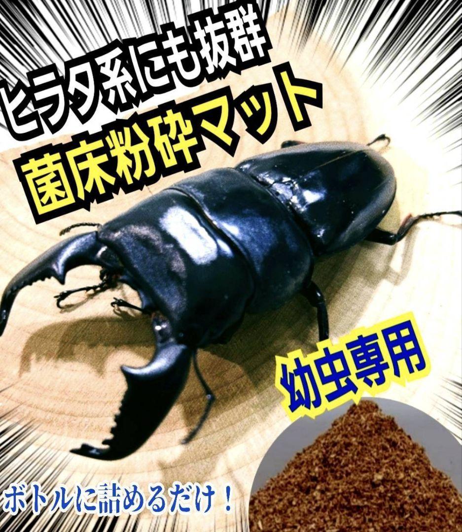 クワガタの幼虫専用！　ヒマラヤひらたけ菌床粉砕マット【30L】ボトルに詰めるだけ