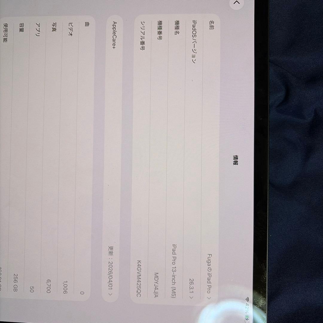 iPad Pro M5 Wi-Fiモデル　13インチ　おまけ2種類