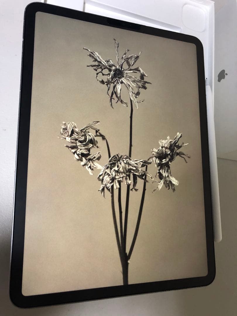 iPad Pro 11 M2 第4世代　クリップスタジオ　液タブ　ペンタブ