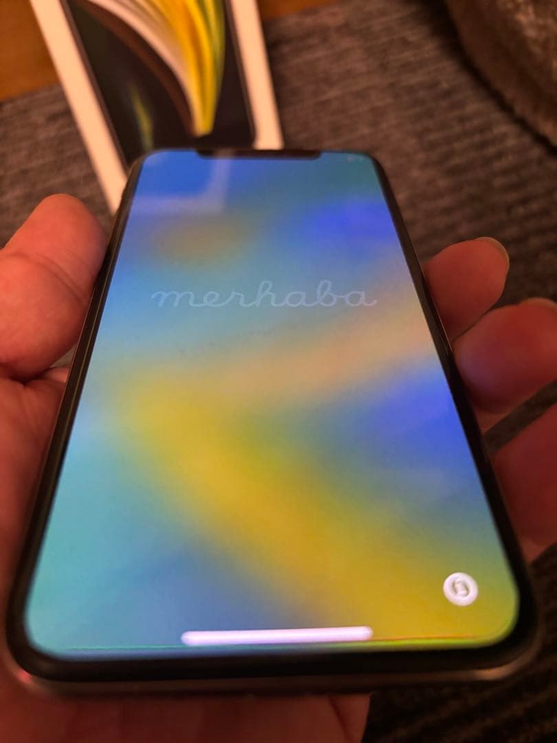 Apple iPhone X シルバー 本体　256GB docomo