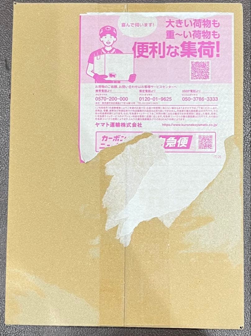 ポケモンカード　ニンジャスピナー　シュリンク有り