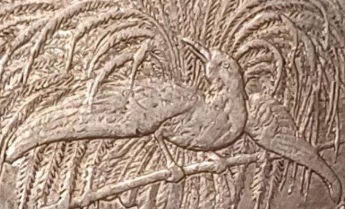 1894年(132年前) ドイツ領ニューギニア 1マルク銀貨 極楽鳥の銀貨