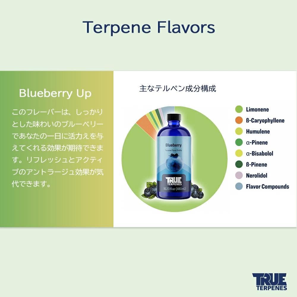 TRUE テルペン 510 CBD CBN CBG 10ml ブルーベリーアップ