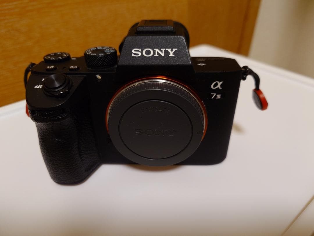 SONY α7 III 本体 ILCE-7M3 9253回 オマケ付