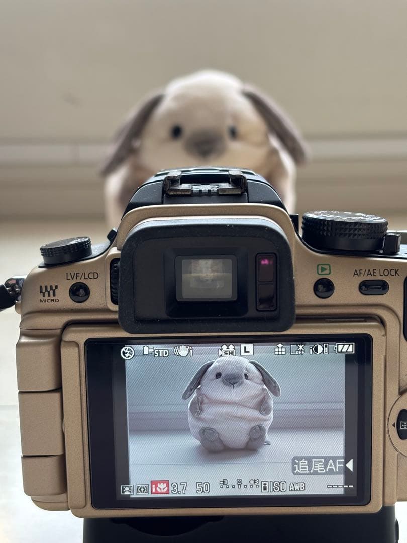 Panasonic LUMIX DMC-GH1 ゴールド バッテリー2個付き