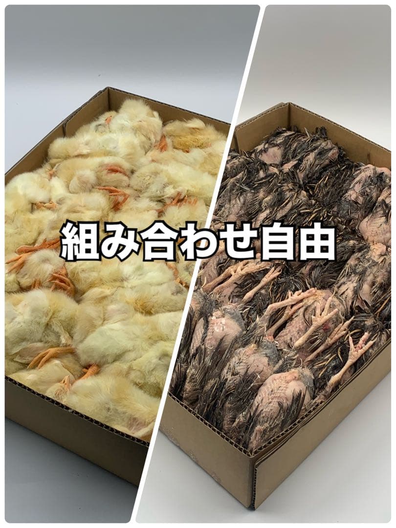 冷凍ウズラ5kg×4段【送料込】