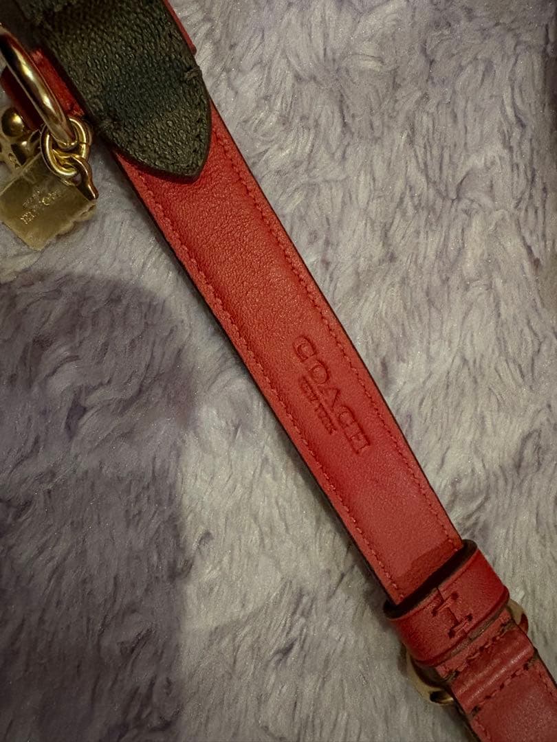 COACH dog collar コーチ犬の首輪　新品未使用