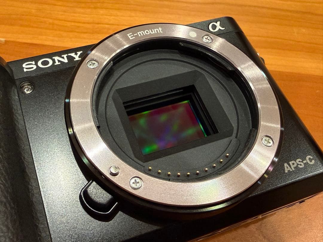 【撮影枚数5800】SONYα6000 ズームレンズ2本セット