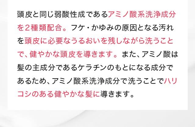 ナチュラルガーデン　ブラック　ナチュラル シャンプー 2本セット　超高級　超最高