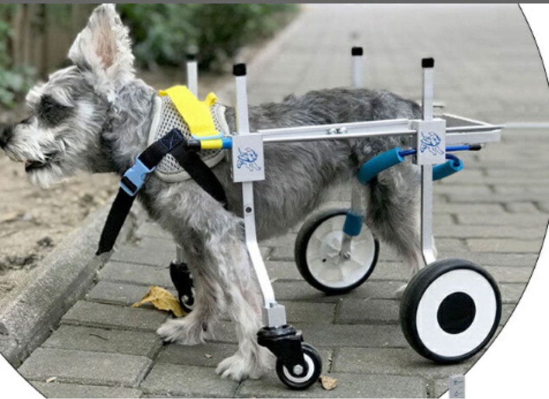 犬用　介護車椅子　四輪　XS(4-10kg) 長さ調節可能