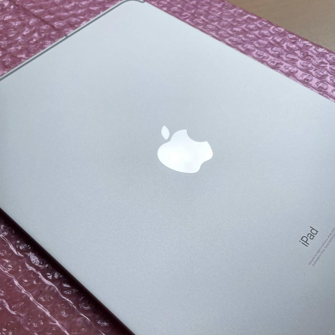 iPad Pro 11インチ　第2世代　Wi-Fi+Cellular 美品　#1