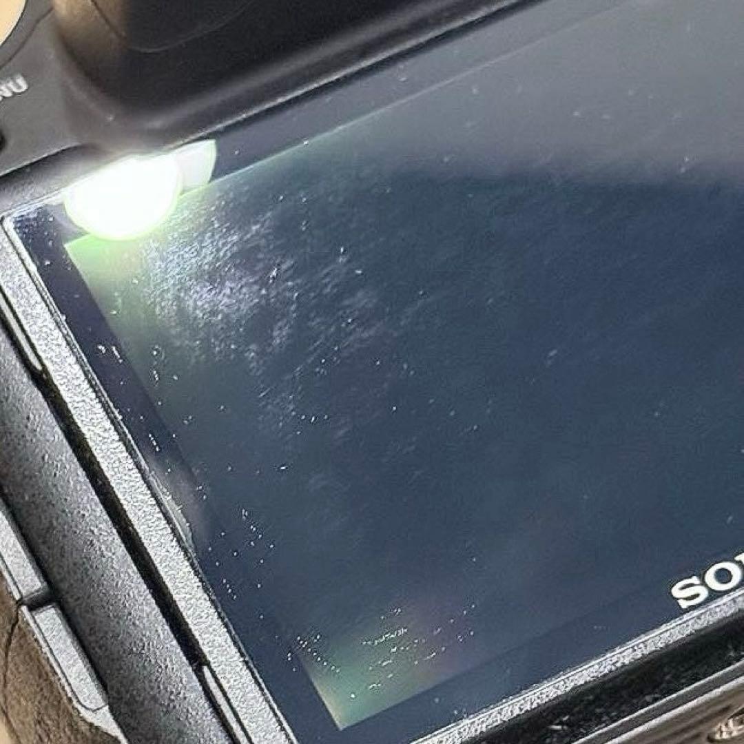 SONY ソニー 高倍率ズーム デジタルカメラ DSC-RX10M3 カメラ