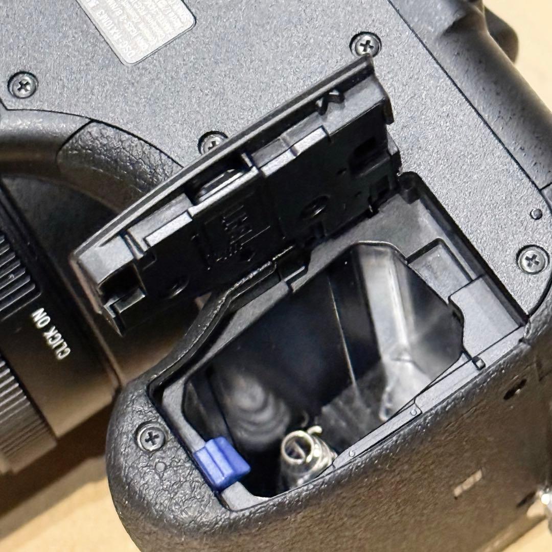 SONY ソニー 高倍率ズーム デジタルカメラ DSC-RX10M3 カメラ