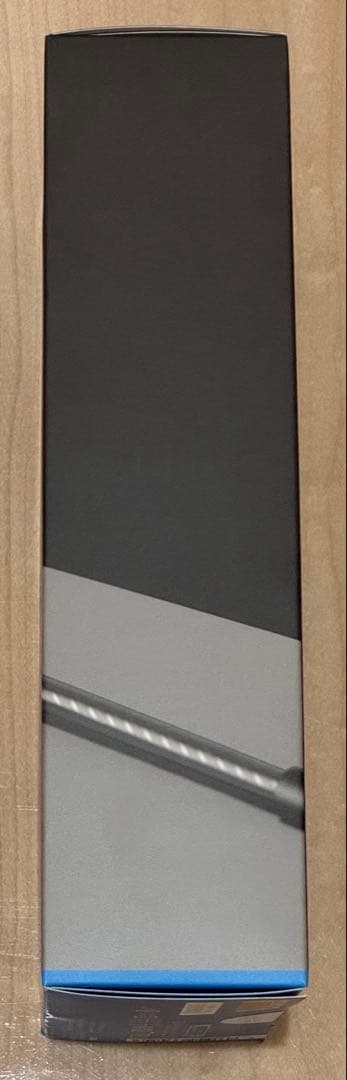 イヤホン SENNHEISER IE 200 Silver Edition