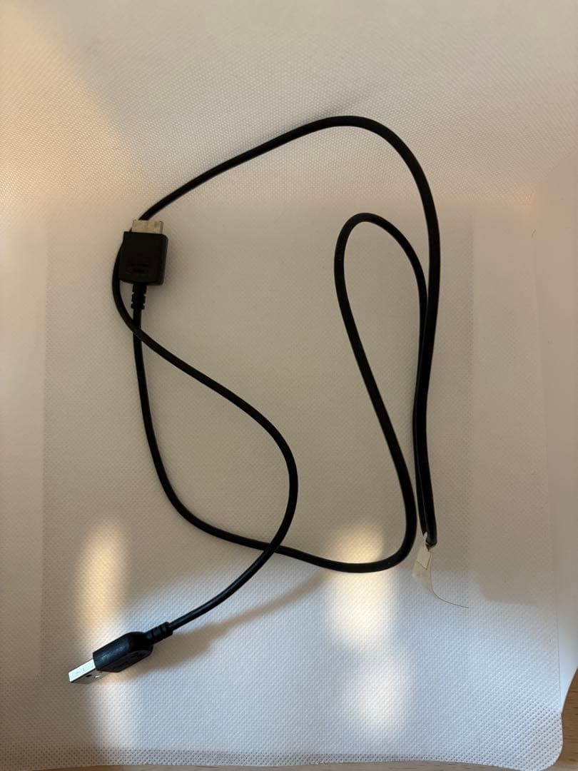 SONY NW-A25 デジタルオーディオプレーヤー