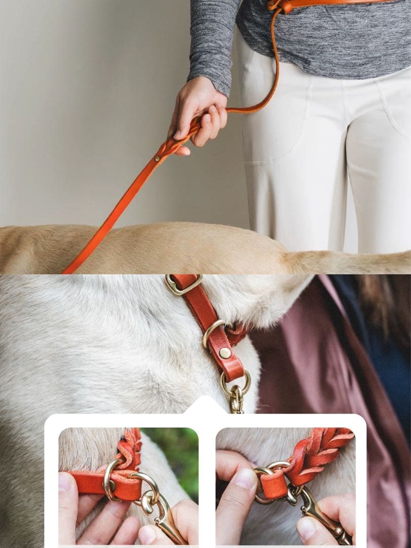 ノルウェー本革編み込み首輪リードセット