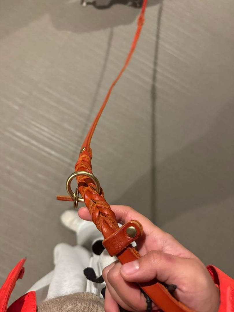 ノルウェー本革編み込み首輪リードセット