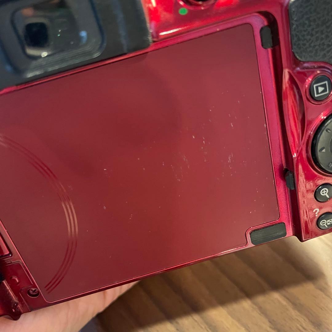 【美品】Nikon D5300 一眼レフ カメラ 撮影 Wi-Fi 桜 入学式